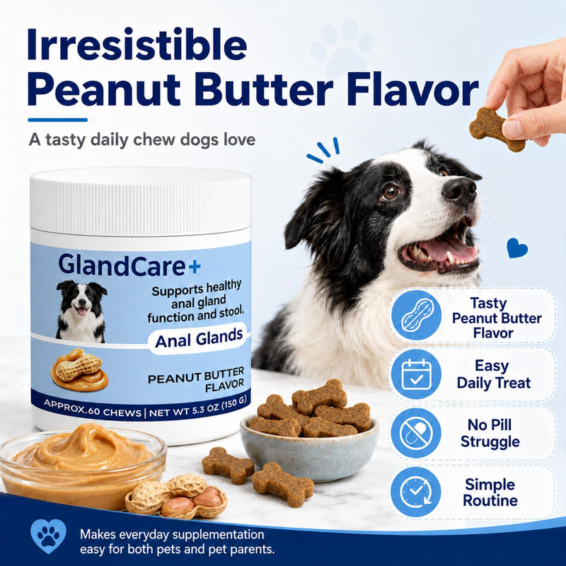 GlandCare+ Anal Gland Chews for Dogs - Pumpkin Seed, Psyllium Husk & Probiotics - Peanut Butter Flavor - Relieves Scooting & Odor - Digestive Health & Stool Support Supplement - 60 Count