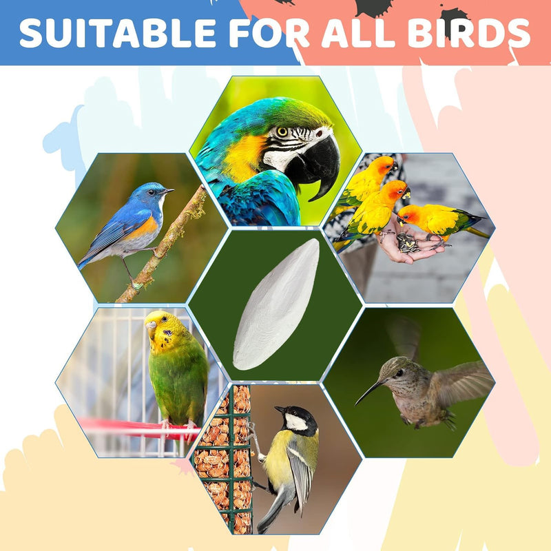 Bird Cuttlebone for Parakeets Cuttlebone for Birds - 100% Natural Cuttlefish Bone Bulk Chew Toy Bird Bites Calcium Stone for Canaries Tortoises,Snails,Reptiles,Parrots,Cockatiel 30PCS