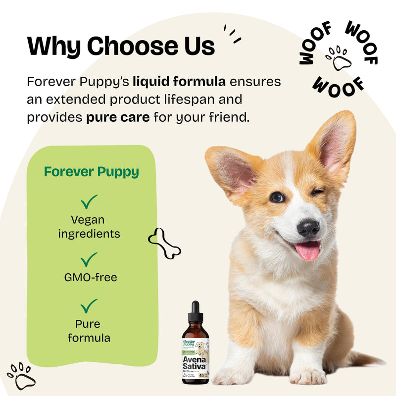 Avena Sativa Extract for Dogs - Oat Straw Herbal Drops for Calm & Relaxation Support - Pet Composure & Calming Care for Dogs w/Liquid Mood Support Supplement - 4 oz 4 fl oz - PawsPlanet Australia