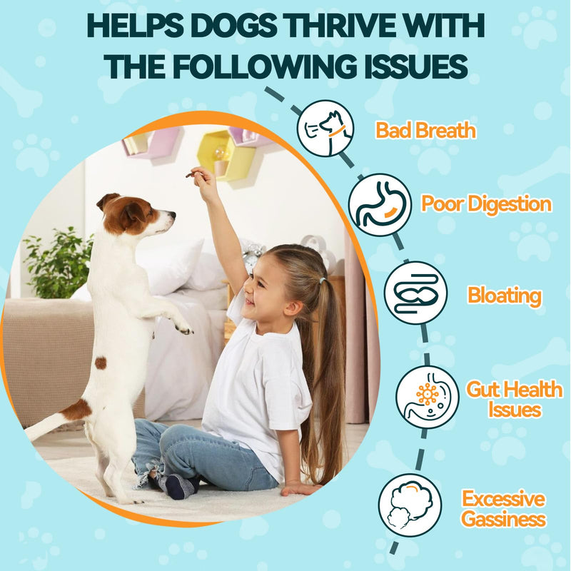 Probiotic & Flea Chews for Dogs - 200 Each - Natural Flea & Tick Prevention with Skin Support + Digestive, Gas & Immune Relief with Pumpkin & Enzymes - Chicken Flavor