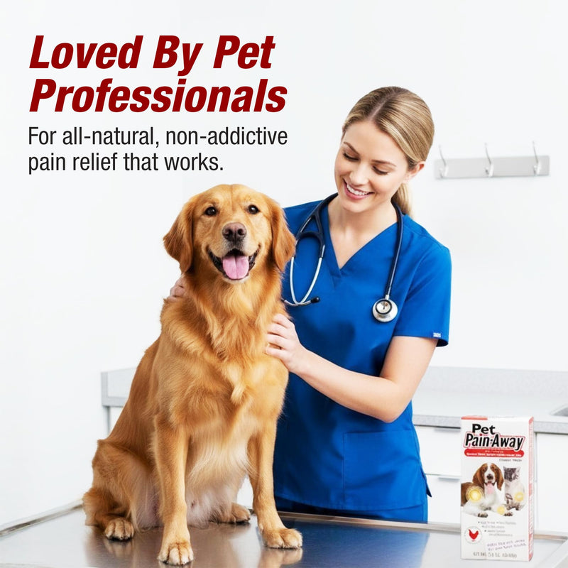 Pet Pain Away All Natural Dog Arthritis Pain Relief Gel, Cat Pain Relief, Dog Pain Relief Anti Inflammatory, Dog Joint Pain Relief, Homeopathic Pain Reliever for Large and Small Dogs and Cats (2-Pack) 2