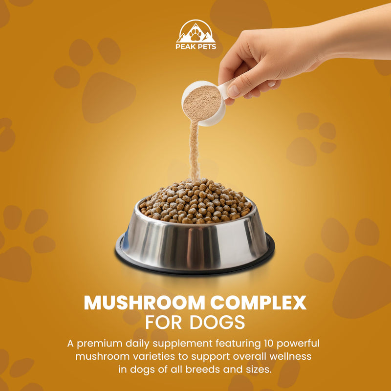 Turkey Tail Mushroom for Dogs Supplement Powder (90g) Organic Mushroom Complex with Lion's Mane for Dogs - Immune Support, Brain Health and Digestion - Third Party Tested, Non-GMO and Made in USA