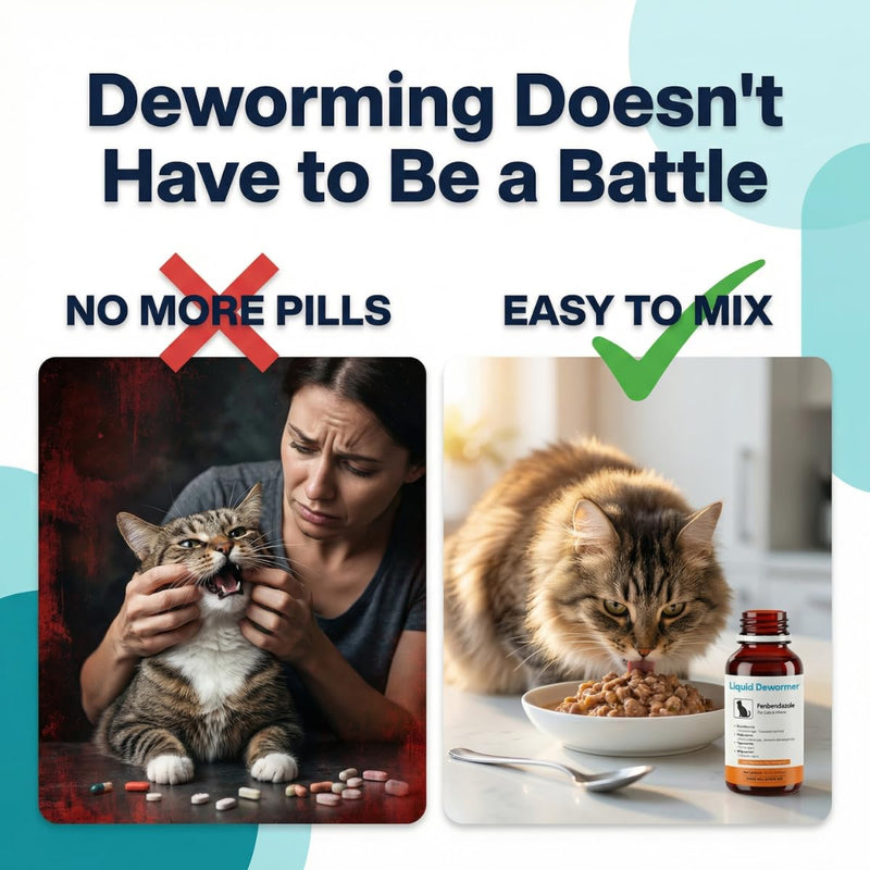 Dewormer for Cats & Kittens Liquid Fenbendazole - Broad Spectrum Suspension - Removes Roundworm, Hookworm, Tapeworm - Easy to Mix with Food, Includes 3ml Dosing Syringe (100ml)