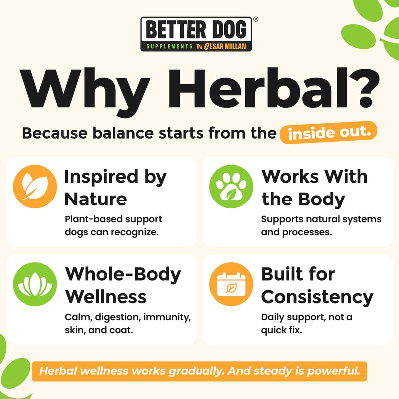 Better Dog Supplements by Cesar Millan® Allergy Balance, Dog Supplements for Dog Allergy, & Seasonal Comfort, Immune Support, Skin & Coat Health, Herbal, NASC Certified 4oz
