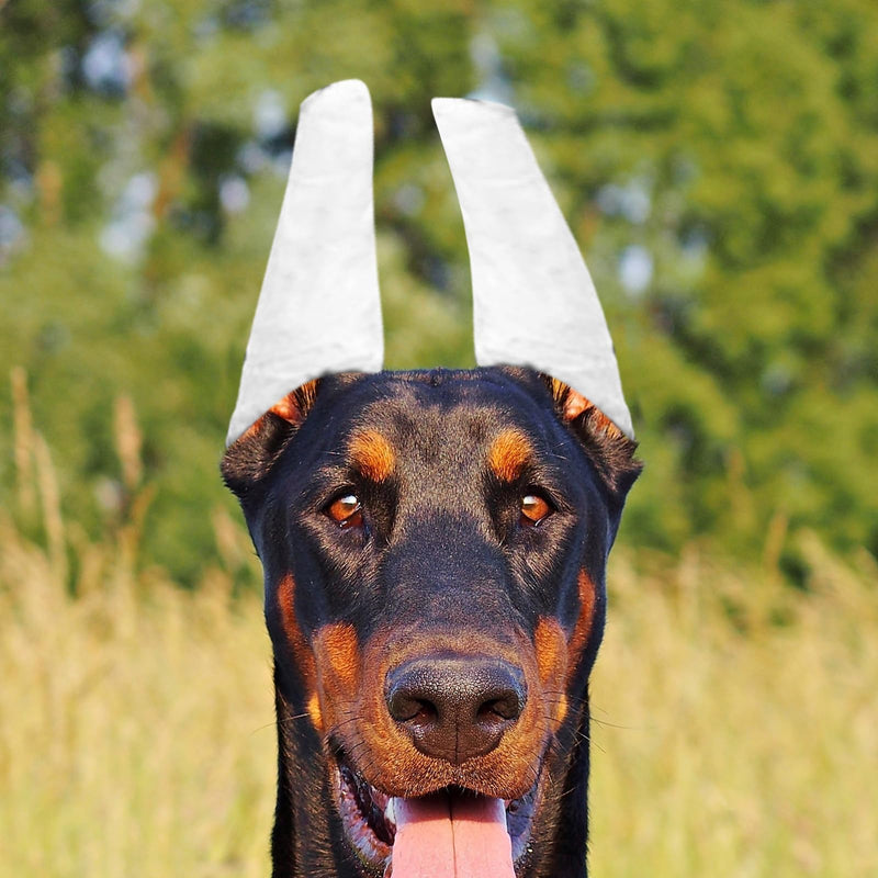 POPETPOP 10 pcs Doberman Dog Ear Posting Kit, Dog Ear Stand Up Support Tool, Dog Ear Fixed Correction Vertical Holder, Dog Ear Tape for Doberman Pinscher Dog - PawsPlanet Australia