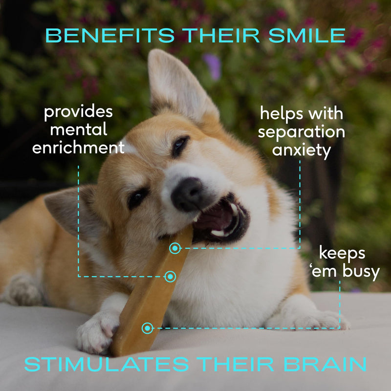 Native Pet Itch Relief & Dental Bundle: 60 Scoops GutWell Itchy Skin - Dog Itching Skin Relief & Seasonal Allergy Itch Relief & 3 Medium Yak Cheese Himalayan Dog Chews - Long Lasting Dental Sticks