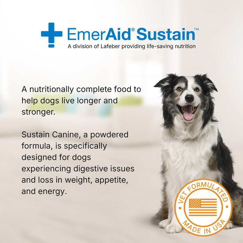 Sustain Canine Recovery Food for Dogs 100 g - PawsPlanet Australia