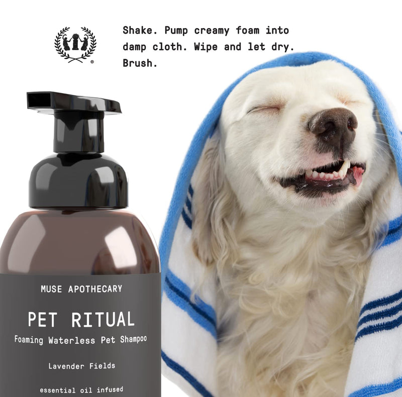 Muse Apothecary Pet Ritual Foaming Waterless Shampoo for Dogs, Waterless Dog Shampoo Foam, No Rinse Dog Shampoo, Waterless Dog Shampoo for Large Dogs - Essential Oils Infused, 11.5oz Oatmeal + Mango 5.75 Fl Oz (Pack of 2) - PawsPlanet Australia