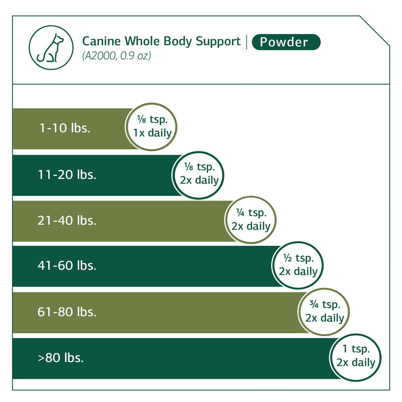 Standard Process Canine Whole Body Support - Multisystem Support Supplement for Canines - Nutritional Powder Supplement for Daily Health Maintenance - Multisystem Supplement Formula - 25 g 25 Grams (Pack of 1) - PawsPlanet Australia