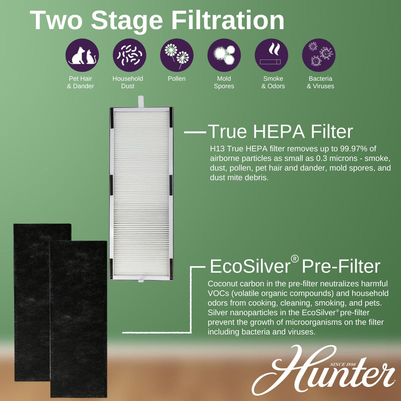 Hunter H-HF600-VP Filter Value Pack with EcoSilver Pre-Filter for HP600