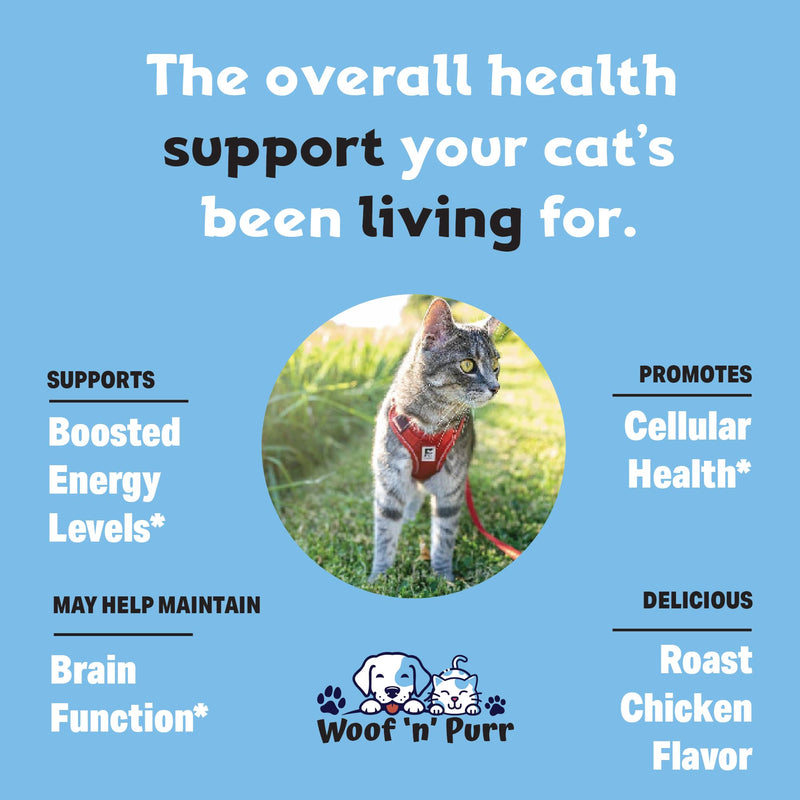 Cat Multivitamin - Promotes Healthy Skin & Coat, Joint Support, Longevity & More - Cat Vitamins - Cat Supplements & Vitamins - Cat Vitamins for Indoor Cats - Kitten Vitamins - Cat Immune Support - 1oz - PawsPlanet Australia