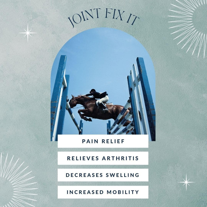 Joint Fix-It Topical Relief Gel for Animals and People, Fast-Acting Formula for Arthritis, Muscle Soreness, Bruises and Strains 8 oz