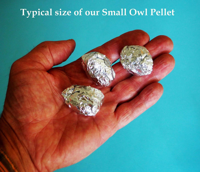Pellets Barn Owl Pellet, Small (Pack of 20)