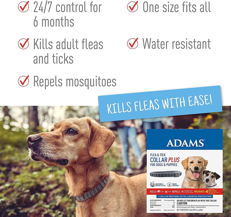 ADAMS Carpet Powder + Flea & Tick Dog Collar Collar Bundle