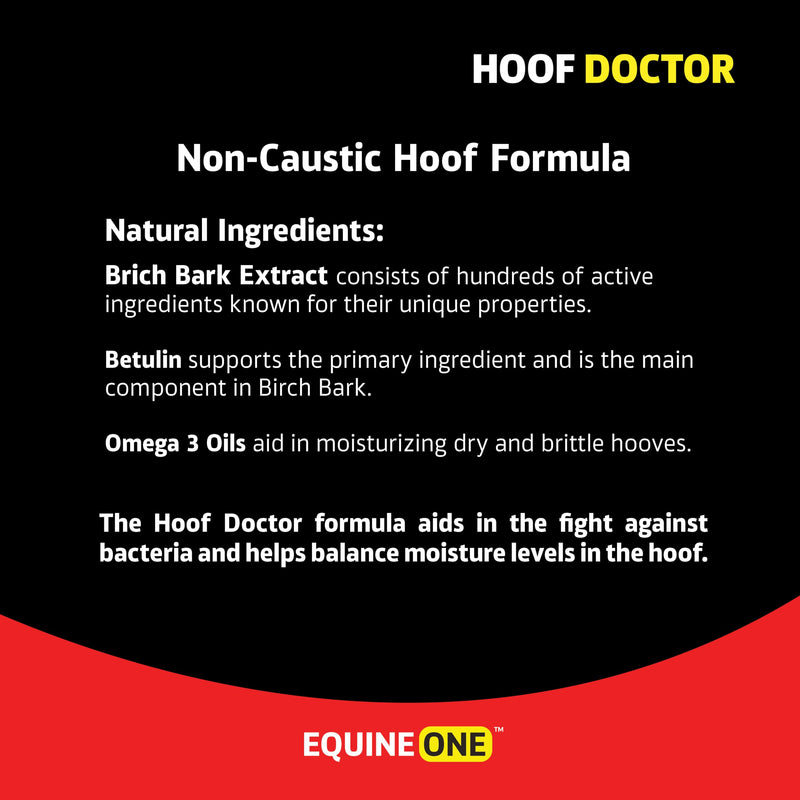 Equine One Natural Hoof Dressing - 100% All-Natural Hoof Care Product - Abscesses || Thrush || White Line || Quarter Crack (16 fl.oz) 16 fl.oz