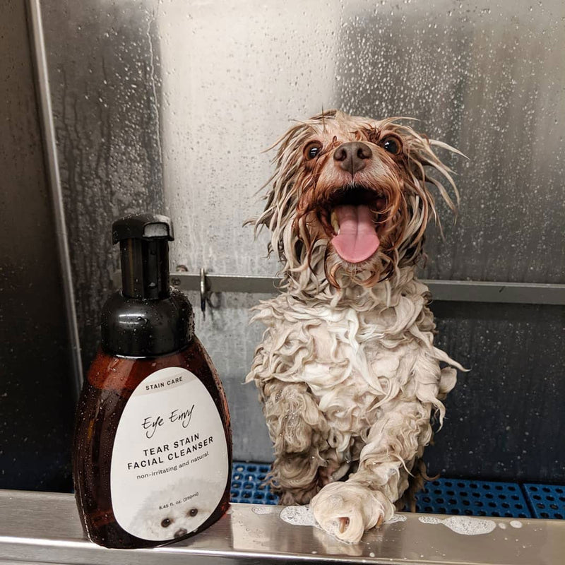 Eye Envy Tear Stain Facial Cleanser for Dogs and Cats | Washes Away Crusty Eye Debris, Eye Boogers and Eye Discharge | Tearless Foaming Formula | Treats The Cause of Staining | 100% Natural 8.45 Fl Oz (Pack of 1) - PawsPlanet Australia