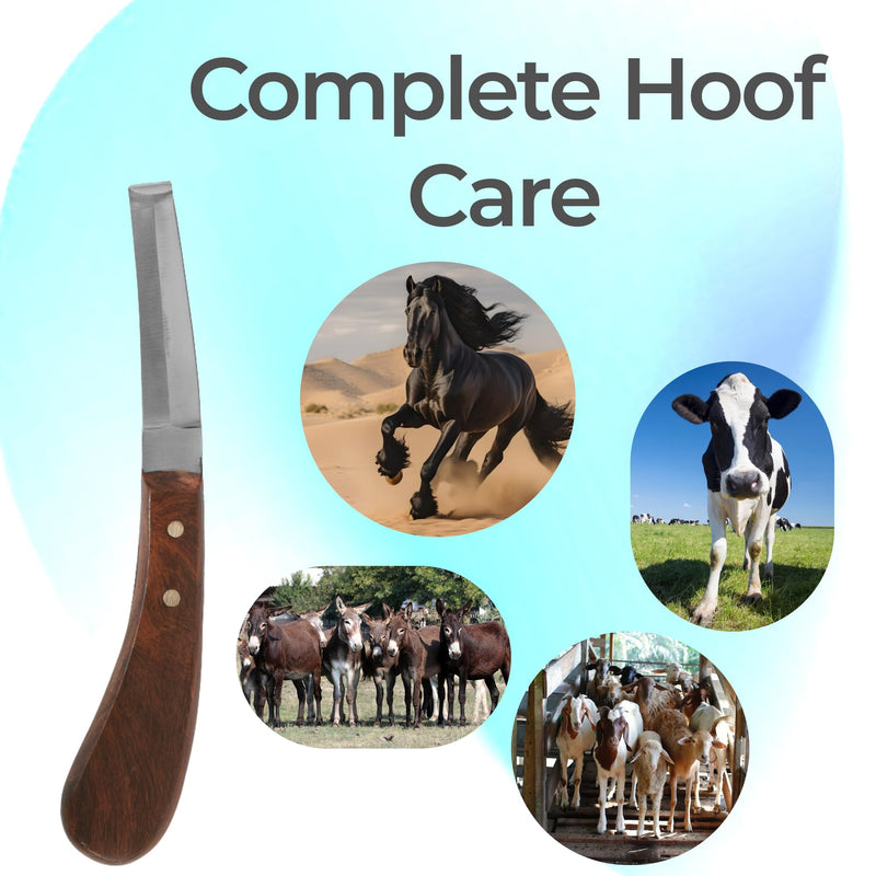 Hoof Knife Double Edged Curved Blade – Stainless Steel Curved Blade Farrier Tool with Wooden Handle, Multipurpose Hoof Trimming Knife for Livestock, 3-Inch Blade, 8.5-Inch Overall Double Edge - RH