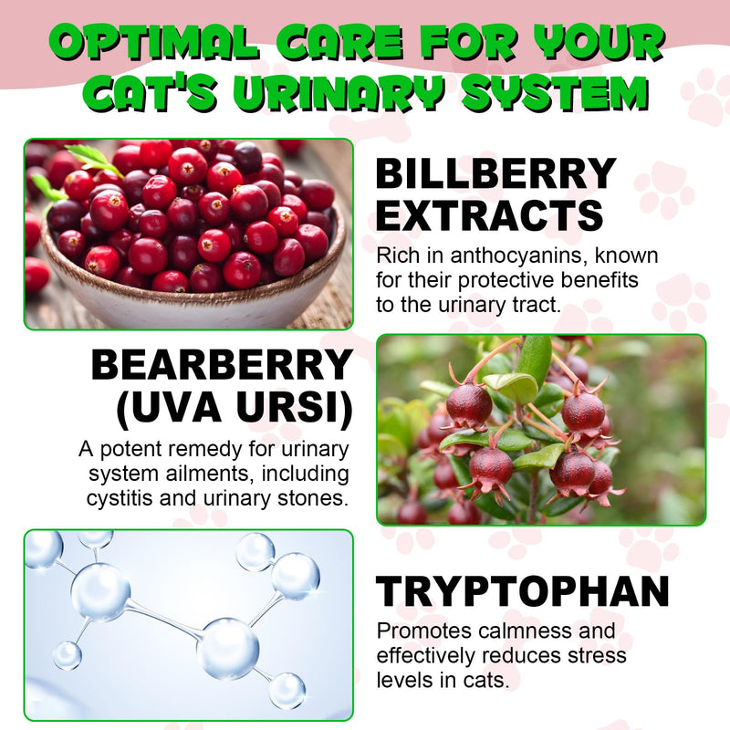Urinary Tract for Cats, Natural Cat Urinary Tract Infection Treatment Drops Supports Bladder, Kidney Stone, Cat UTI, Cranberry Kidney Bladder Support Supplement, Chicken Flavor - 60ml / 2.02oz 1PCS