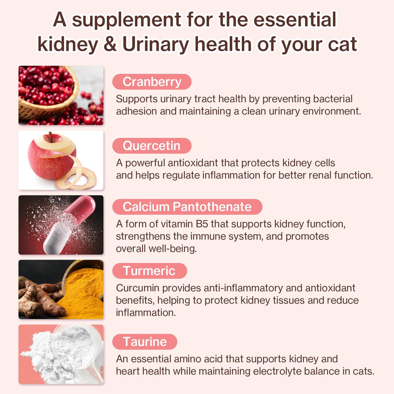 Dr.by HB Care Hairball Supplement for Cats Hairball Relief Furball Control Remedy + Dr.by UT Care Cat UTI Kidney Support Urinary Supplement Cranberry Treatment for Cats
