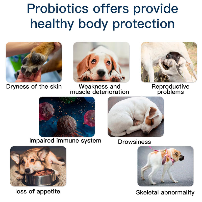 Probiotics for Dogs, Dog Probiotics for Yeast, Itchy Skin and Itchy Ears, Digestive Enzymes with Prebiotics for Digestive Health, Probiotic Chews for Dogs Support Immunity Health - (Chicken 60 Ct) Chicken Chicken-60 Chews