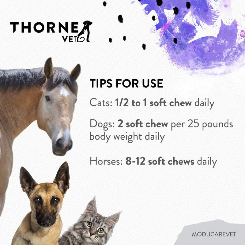 ThorneVet ModucareVET – Immune System Support from Plant Sterols for Dogs, Cats & Horses, 90 Soft Chews - PawsPlanet Australia