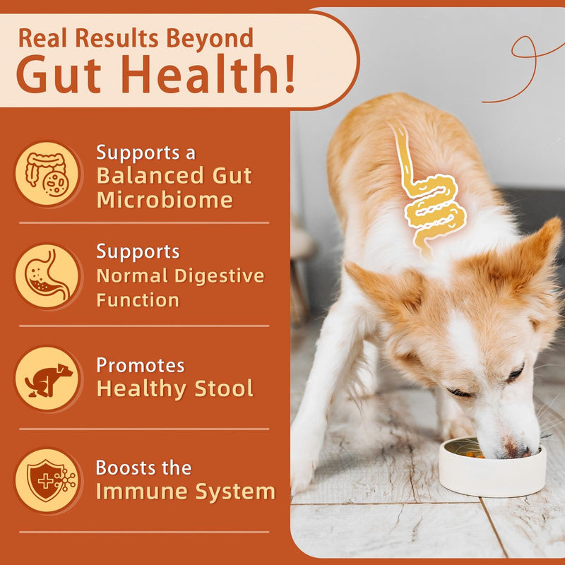 Dog Vitamins Powder & Probiotics for Dogs Soft Chews