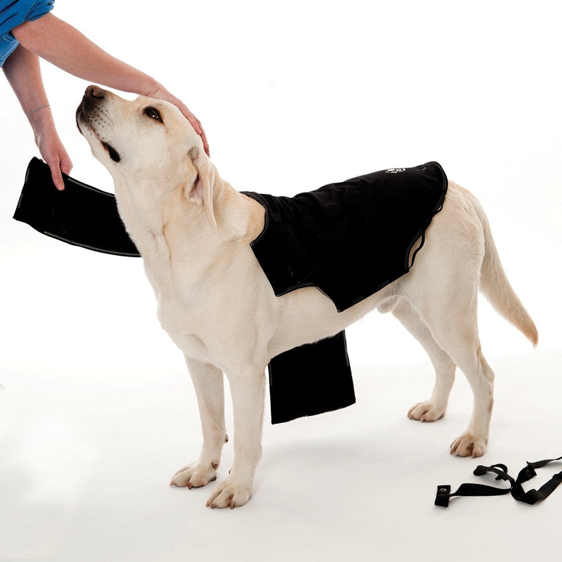 Company of Animals Anxiety Wrap, Black, Toy Sized - PawsPlanet Australia
