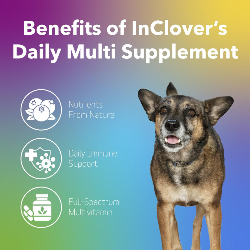 InClover Daily Multi Cat & Dog Vitamin - Canine & Feline Vitality Powder - Immunity Boost with Organic Blueberry, Seaweed, Turkey Tail Mushroom & Postbiotic Fibers - Critical Immune Defense Supplement - PawsPlanet Australia