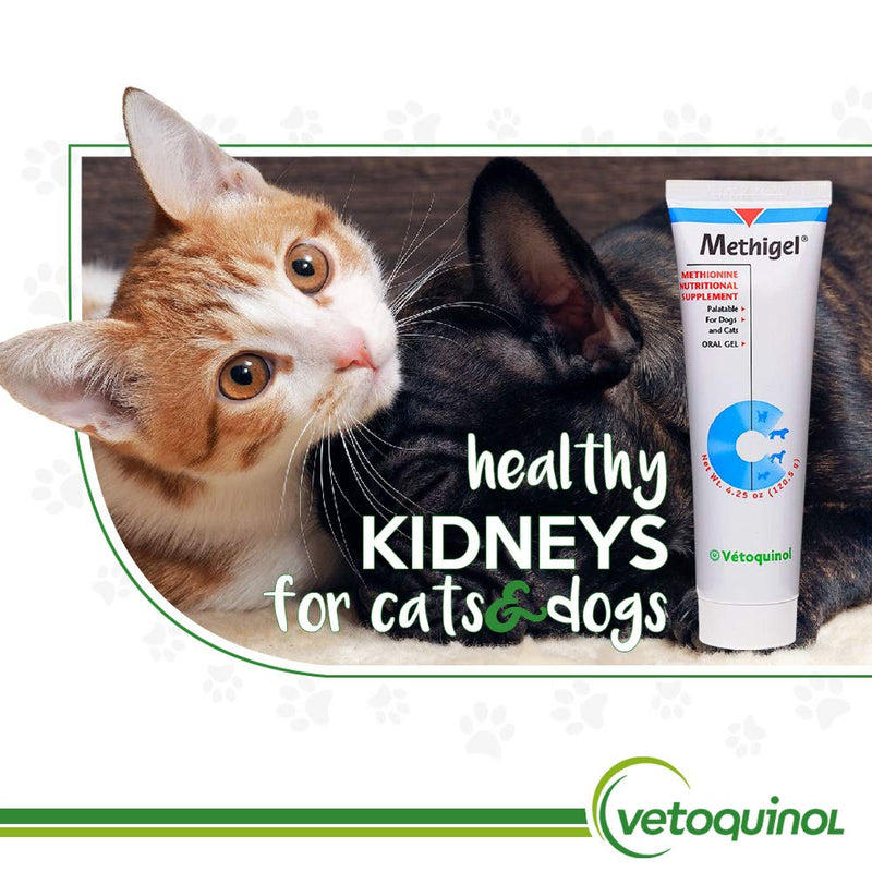 Vetoquinol Methigel Urinary Acidifier to Promote Urinary and Bladder Health for Dogs & Cats 4.25 oz - PawsPlanet Australia