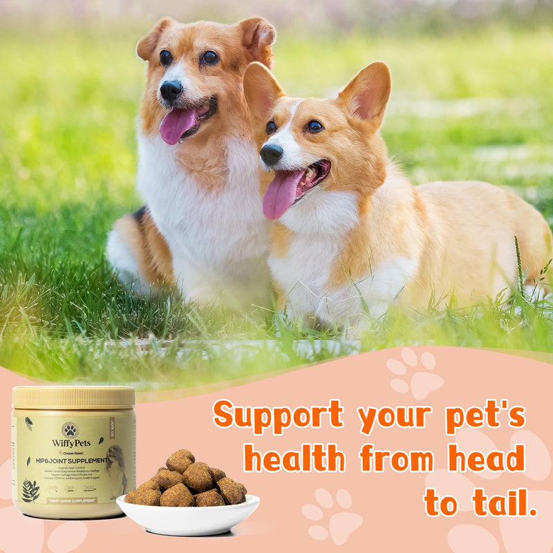 Hip and Joint Supplement Dogs with Glucasamine for Dogs, Hip Pain Relief for Small, Medium and Large Breed, Hip and Joint Chews for Dog MSM, Chondroitin 90 Count, Chicken Flavor - PawsPlanet Australia