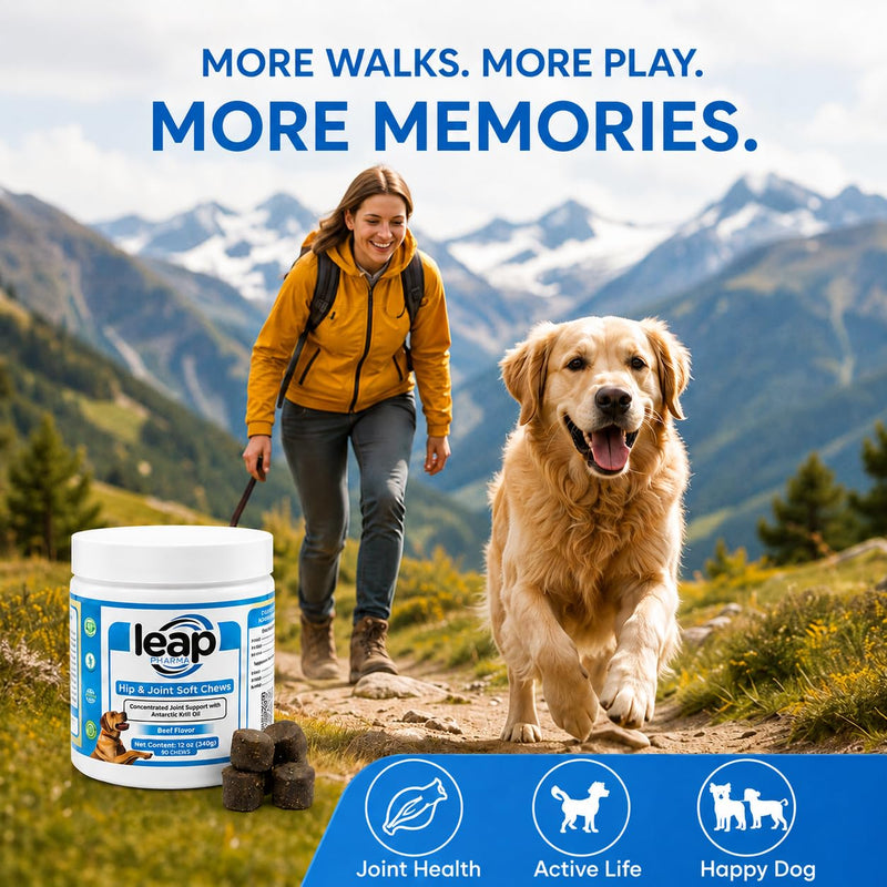 Dogs Suplements Hip & Joint - Krill Oil and Glucosamine Soft Chews, Joint Supplement for Dogs with Krill Oil,Glucosamine, Chondroitin, MSM, Turmeric, Anti Inflammatory, Mobility (Beef 90ct)