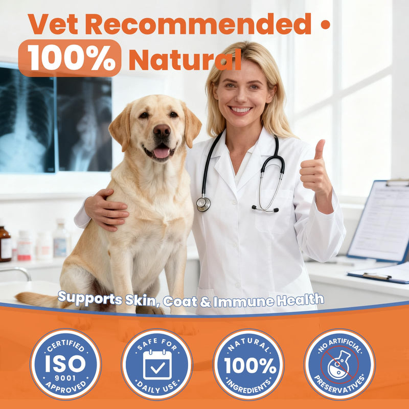 Salmon Oil for Dogs,Omega 3 for Dog Skin and Coat Supplement Chews Fish Oil Treat, Omega 6 EPA & DHA Fatty Acids Dry Skin Relief for Dogs, Coat Itch Relief Supplement,Salmon Flavor
