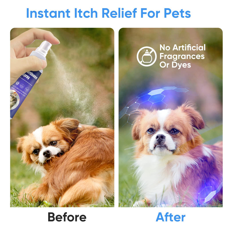 Inscape Data Hot Spot Treatment for Dogs, Itch Relief Spray for Dogs & Cats - Relieves Hot Spots, Rash & Itchy Skin - No-Sting Formula Blue - PawsPlanet Australia
