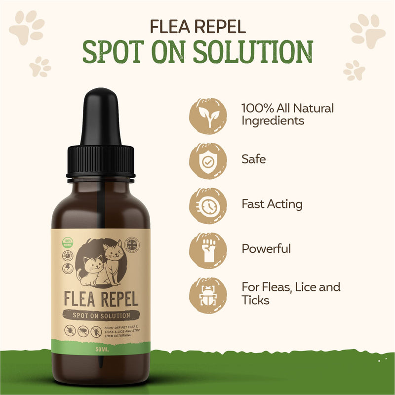 Flea Treatment for Cats | Works on Flea & Tick | All Natural Safe Formula & Easy To Apply | 50ml Spot On Application - PawsPlanet Australia