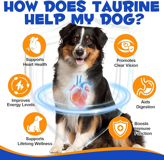 Taurine for Dogs,Taurine Supplement for Dogs,Taurine Supplement Powder for Dogs,Doggy Supps Taurine Powder,Easy-to-Mix Daily Supplement,Immune Support,Advanced Heart,Vision&Cognitive Support