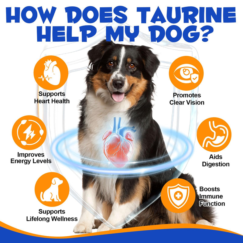 Taurine for Dogs,Taurine Supplement for Dogs,Taurine Supplement Powder for Dogs,Doggy Supps Taurine Powder,Easy-to-Mix Daily Supplement,Immune Support,Advanced Heart,Vision&Cognitive Support