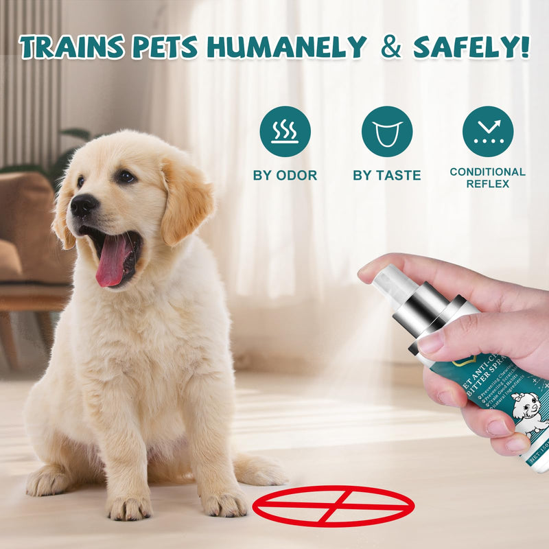 LIyun&Hang Enhanced Bitter Apple Spray for Dogs to Stop Chewing and Licking, No Chew Spray for Dogs, Stop Licking Wounds and Hot Spots, Protecting Furniture, Alcohol Free/Non-Toxic (Green) (Green) Green