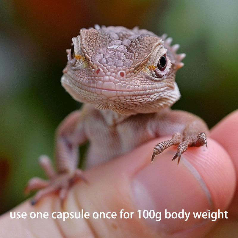 Vitamin A Supplement for Reptiles and Amphibians, 30 Capsules. - PawsPlanet Australia
