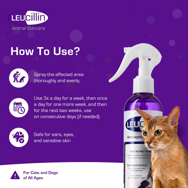 Leucillin Natural Antiseptic Spray - Antibacterial Antifungal Antiviral for Dogs Cats All Animals Itchy Skin Minor Wound Care and Skin Health | 500ml 500 ml (Pack of 1) - PawsPlanet Australia