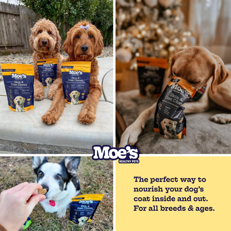 Moe’s Skin & Coat Omega 3, 6, 9 and Vitamin Supplement for Dogs- Supports Dryness, Itch Relief, & Thick, Shiny Coats- Premium Wild Alaskan Salmon Oil- For All Ages and Breeds- 90 Salmon Flavored Chews - PawsPlanet Australia