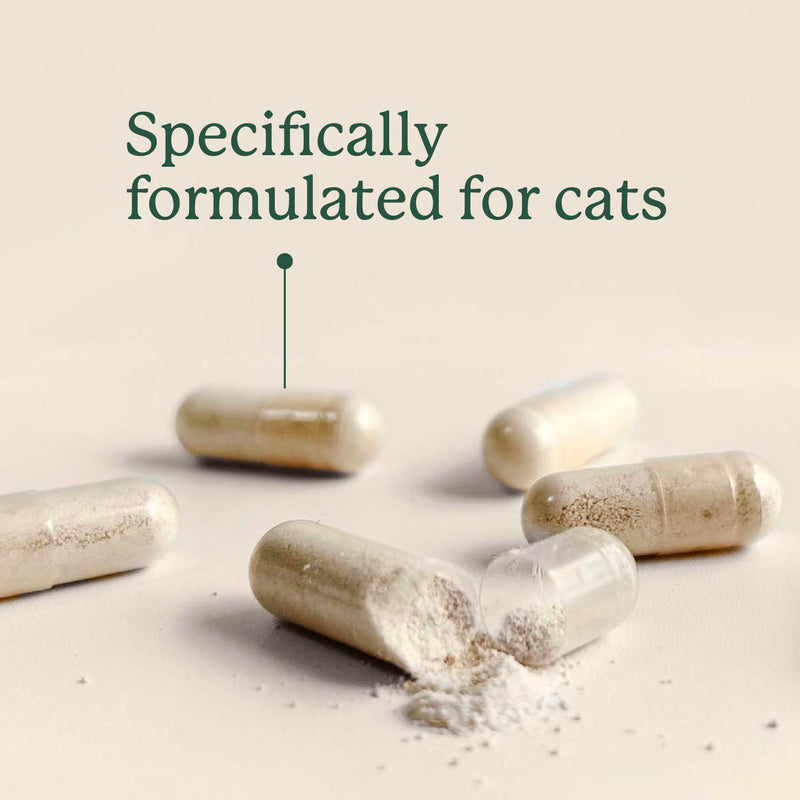AnimalBiome NEW Probiotics for Cats with S Boulardii (30 Capsules) KittyBiome - Gut Maintain Triple-Action Phage, Prebiotics & Probiotic Cat Supplements for Digestive Health, Open for Easy Food Topper 30 Capsules