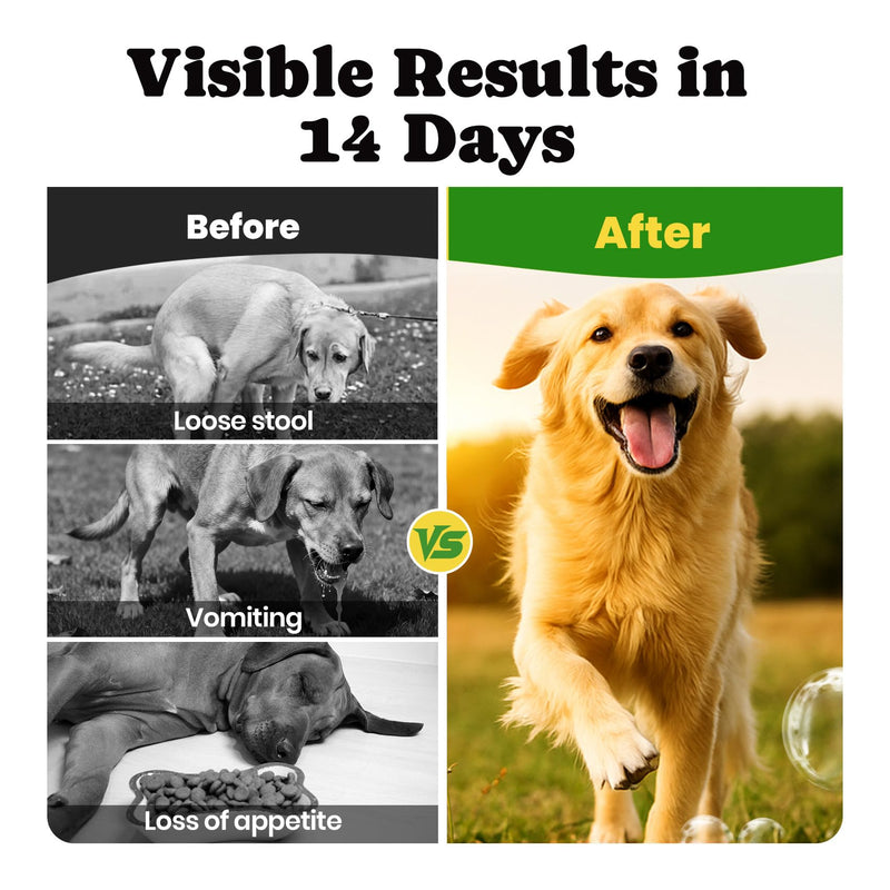 Dog Oral & Digestive Support Bundle – Dental Water Additive with Probiotic Soft Chews for Fresh Breath, Gut Balance & Immune Care