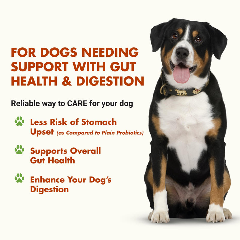 Pre & PostBiotic Support for Dogs – Digestive Upset, Stool Quality & Sensitive Stomach Support – Easy Liquid Formula for Picky Eaters Pot Roast 8 oz