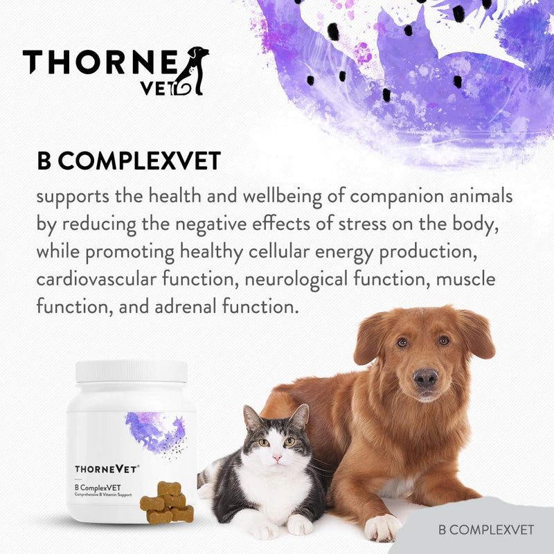 ThorneVet B ComplexVet and Canine Basic Nutrients Soft Chews Bundle