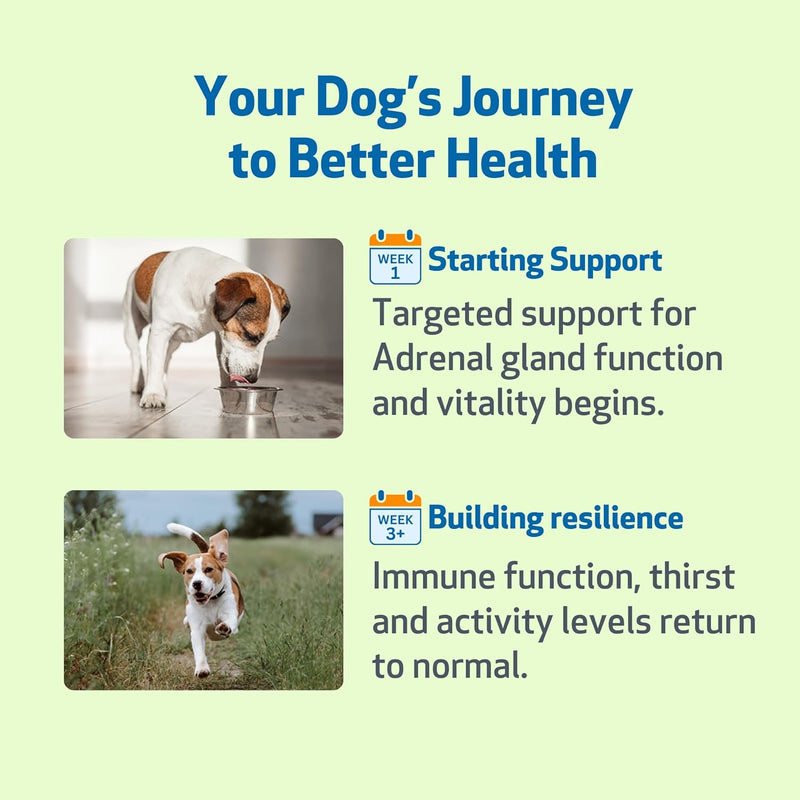Pet Wellbeing - Adrenal Harmony Gold For Dogs- Natural Support For Adrenal Dysfunction And Cushing'S - 2 Ounce (59 Milliliter) - NewNest Australia