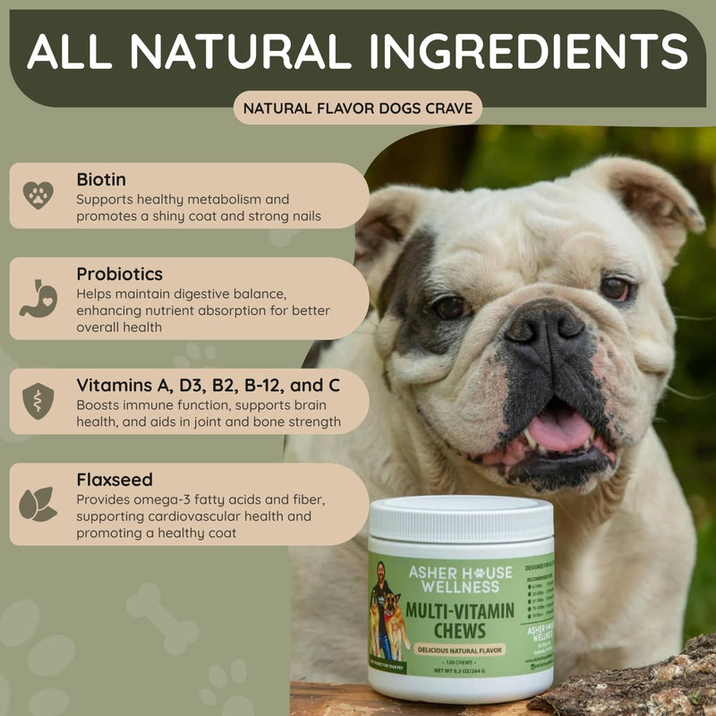 Asher House Wellness Dog Multivitamin Chews - Dog Vitamins and Supplements, Soft Chew for Pet Dogs with Probiotics, Flaxseed, Colostrum - Comprehensive Health Support from Puppy to Senior, 120 Chews - PawsPlanet Australia