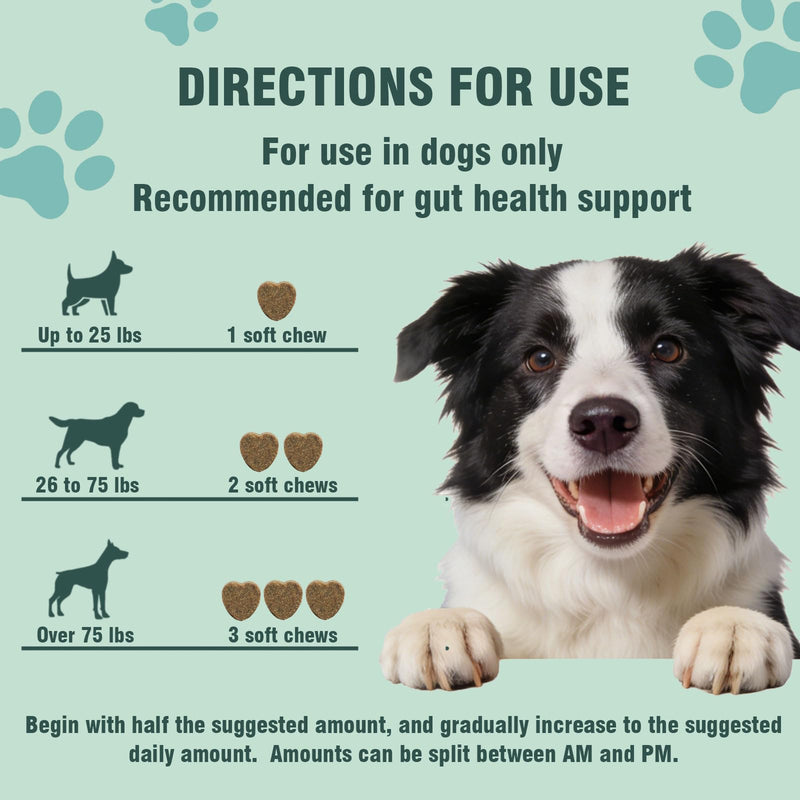 Probiotics for Dogs, 200 Soft Chews, Support Gut Health, Diarrhea Relief, Seasonal Allergies, Dog Probiotic Chews for Itchy Skin & Dog Yeast Infection, Chicken Flavor 200 Chews