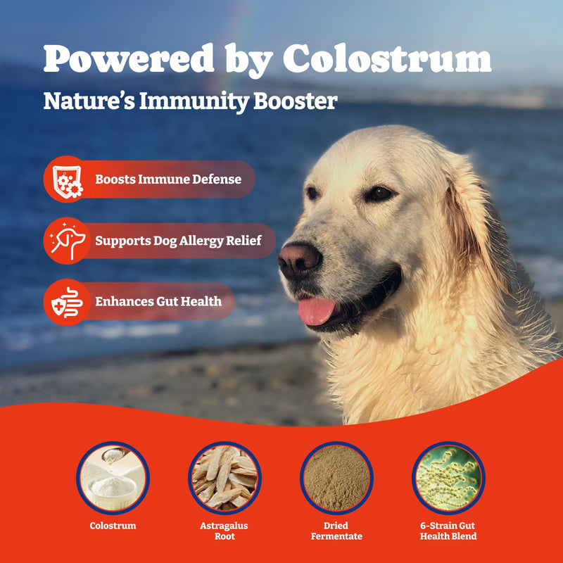 Dog Allergy Relief Chews – 70 Count + Probiotics 180 Count for Allergy, Gut & Immune Support