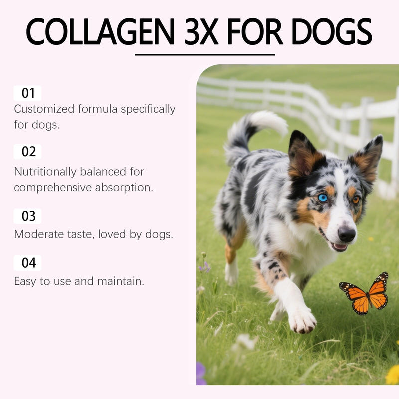 Bloom Collagen for Dogs, Bloom Triple Collagen for Dogs, Gentle Formula, Supports Skin and Coat, Joint Comfort, 60ml (2pcs) 2pcs