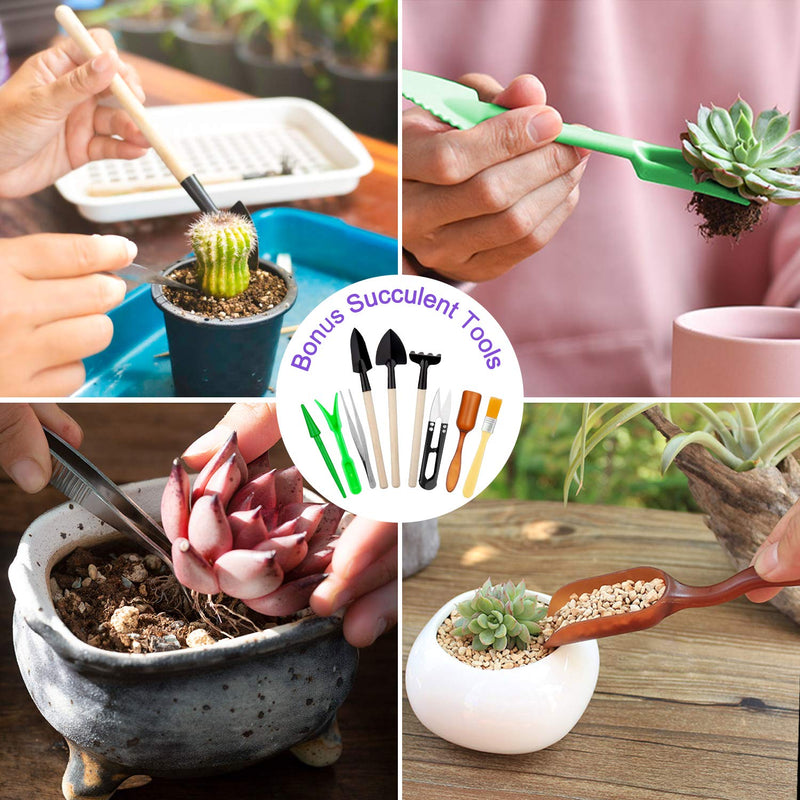 Garden Tools Set 83 Piece, Succulent Tools Set Included, Heavy Duty Aluminum Gardening Tools for Gardening, Non-Slip Ergonomic Handle Tools, Storage Tote Bag, Gifts Tools for Women Purple